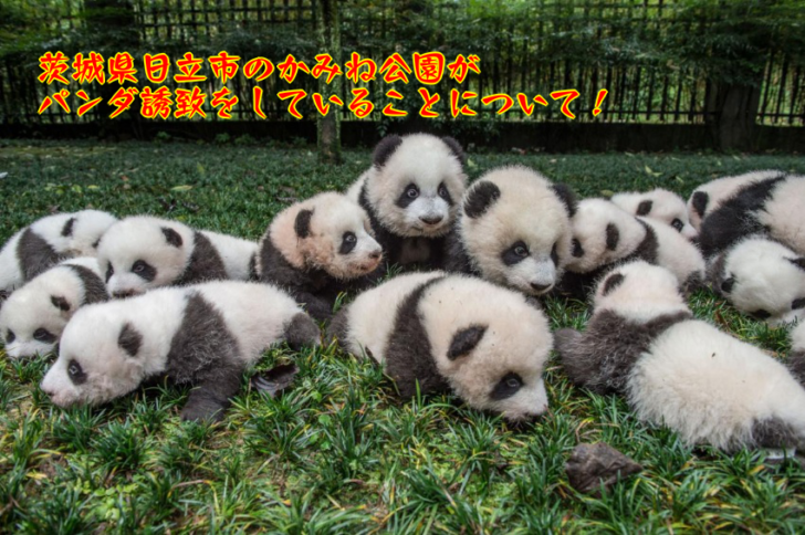 動物園 かみ ね うだ・アニマルパーク振興室/奈良県公式ホームページ